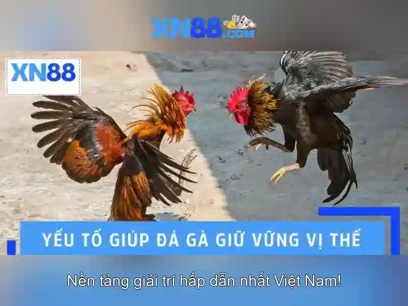 Tính năng nổi bật