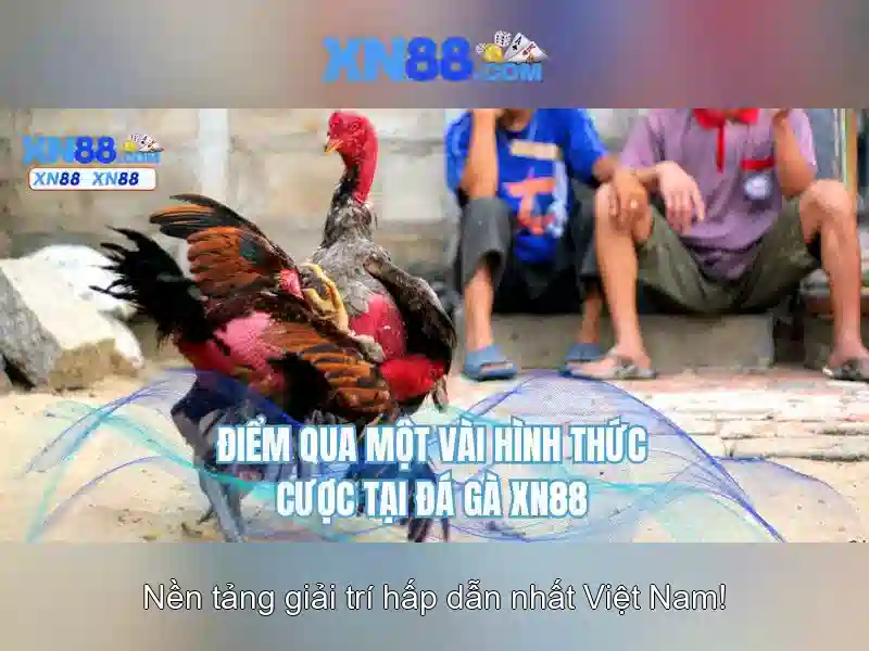 xn88: Tổng quan về nền tảng giải trí số