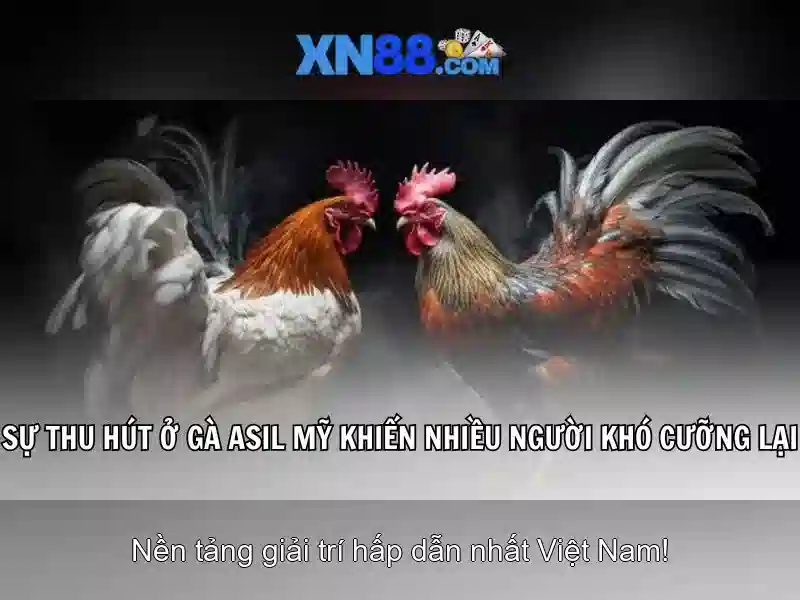 Xn88: Cổng game trực tuyến và cộng đồng người chơi
