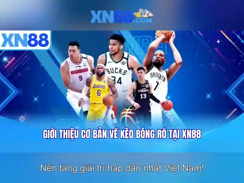 XN88: Tổng quan về nền tảng cược trực tuyến uy tín