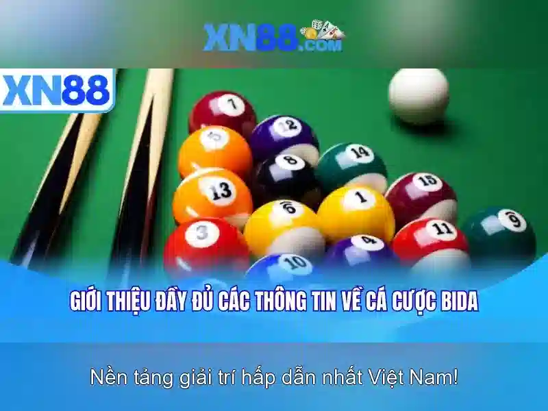 Lưu ý pháp lý và rủi ro