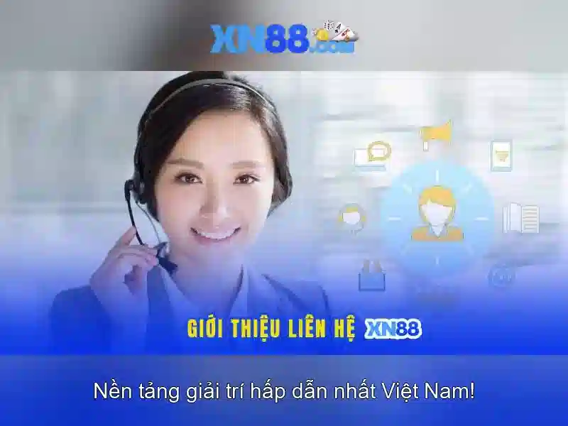 <!--IMG_PLACEHOLDER alt>Trải nghiệm người dùng và phản hồi cộng đồng-->