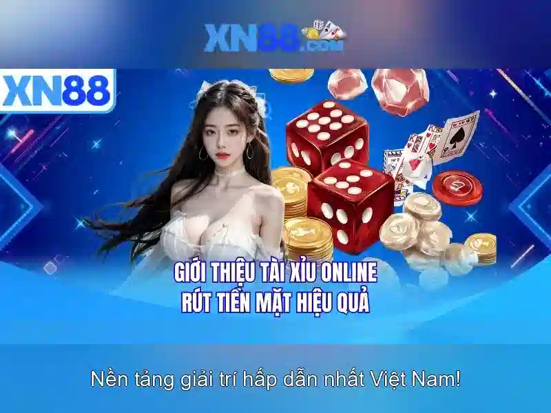 An toàn và quản lý rủi ro