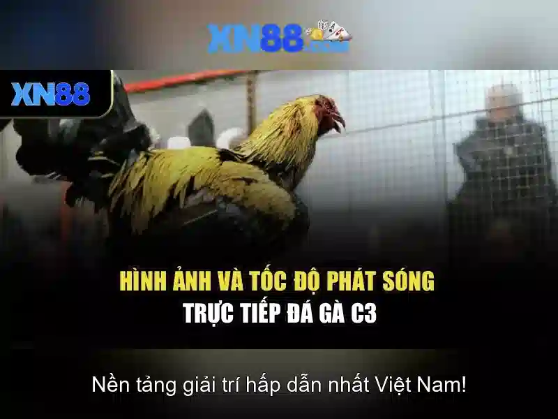 Tổng quan và giá trị cốt lõi của xn88 sa