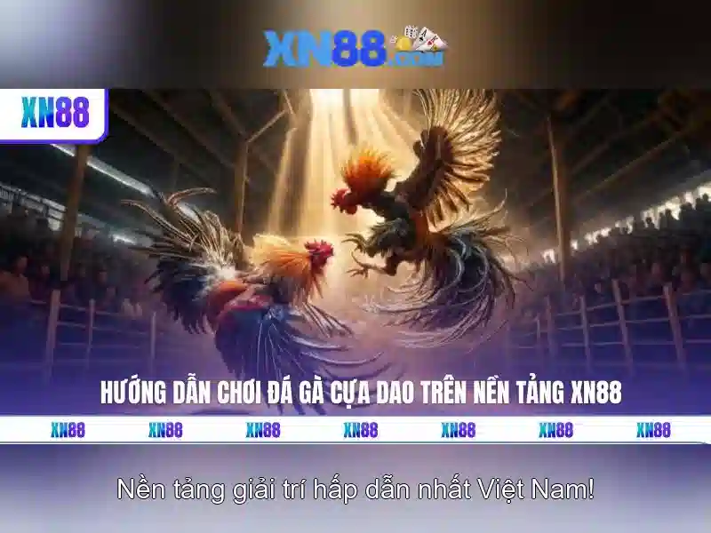 Gói khuyến mãi và chương trình khách hàng thân thiết\n\n