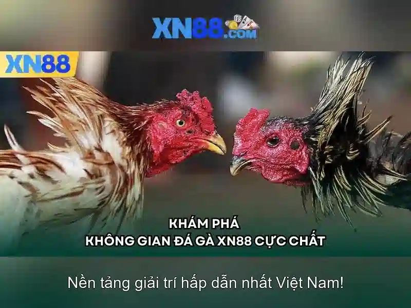 Giới thiệu về xn88: Nền tảng trò chơi trực tuyến