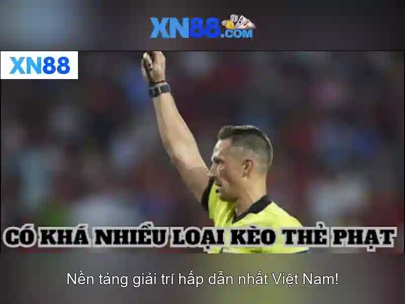 Nền tảng giải trí