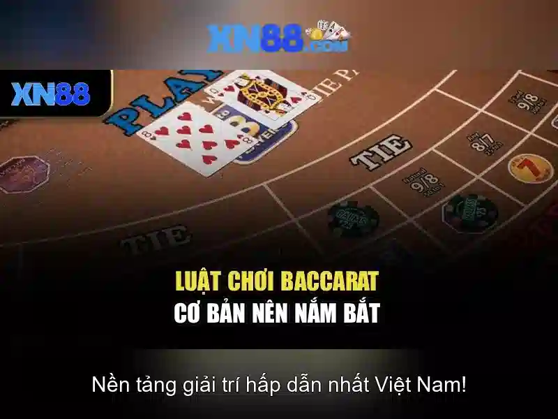 Giới thiệu về xn88