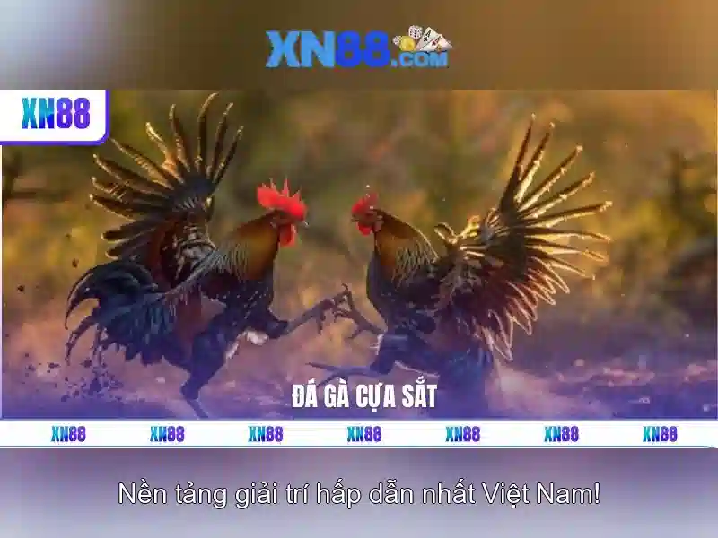 Hướng dẫn tham gia\n\n
