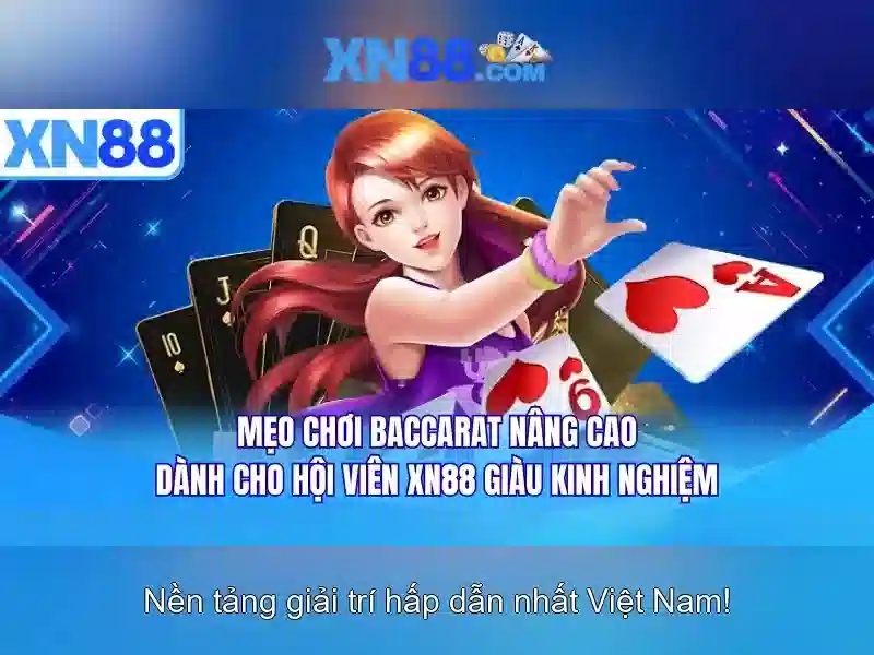 Xn88: Tổng quan về nền tảng và cách sử dụng