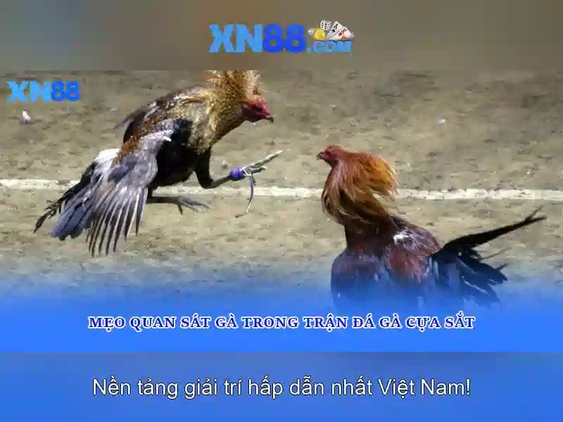 An toàn và bảo mật thông tin