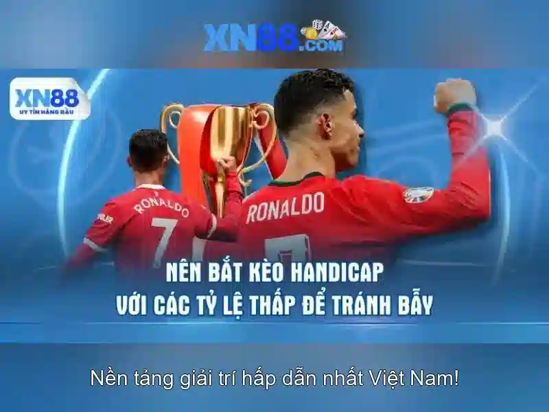 Giao diện và trải nghiệm người dùng