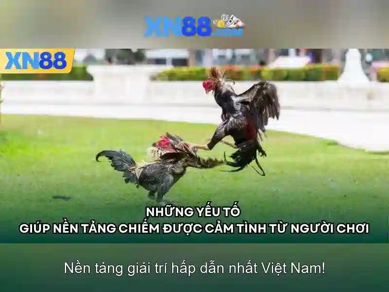 An toàn và bảo mật\n\n