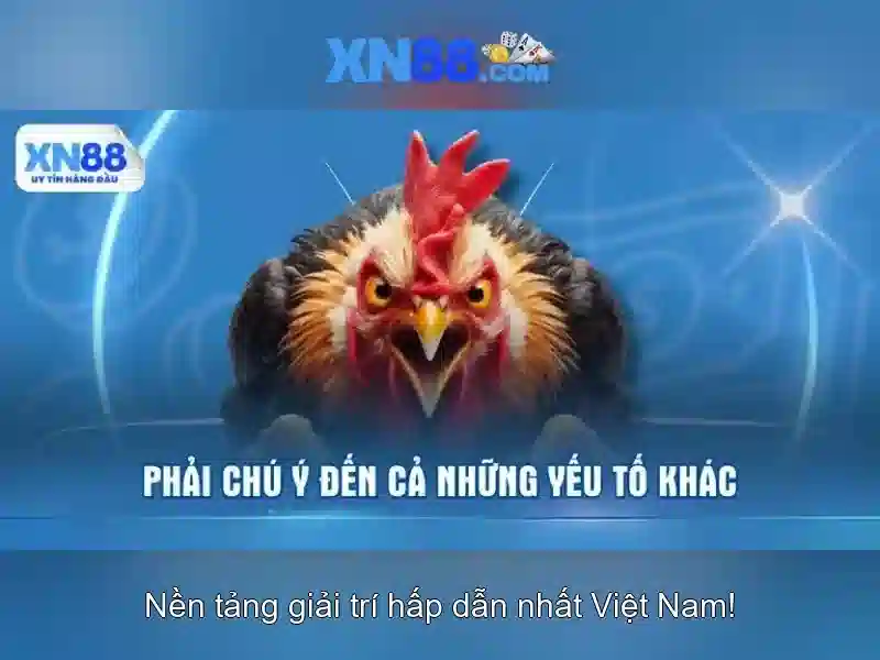 Xn88: Nền tảng giải trí trực tuyến nổi bật