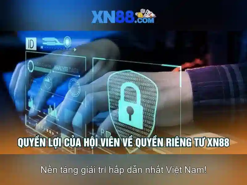 Trò chơi và dịch vụ