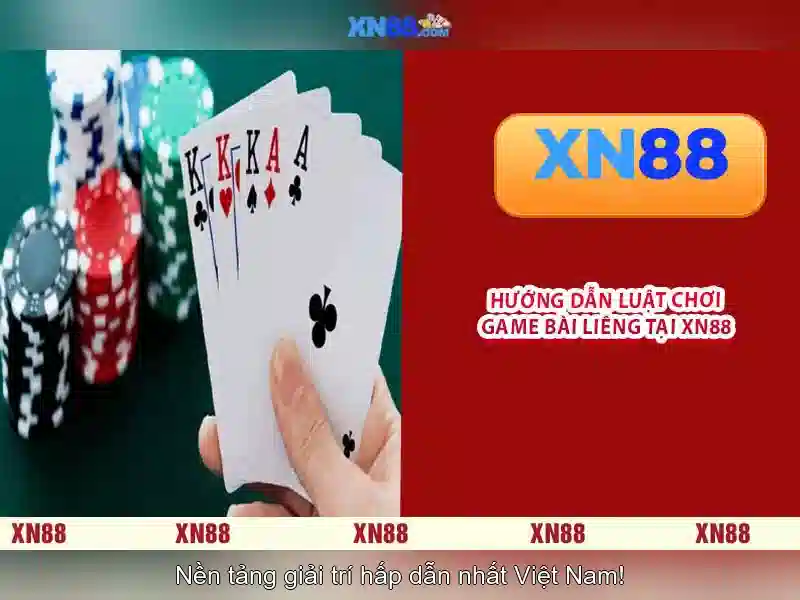 Hướng dẫn tham gia và lưu ý người dùng