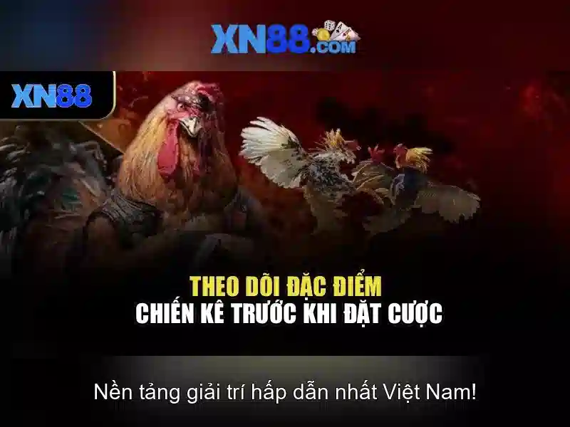 Giới thiệu về XN88