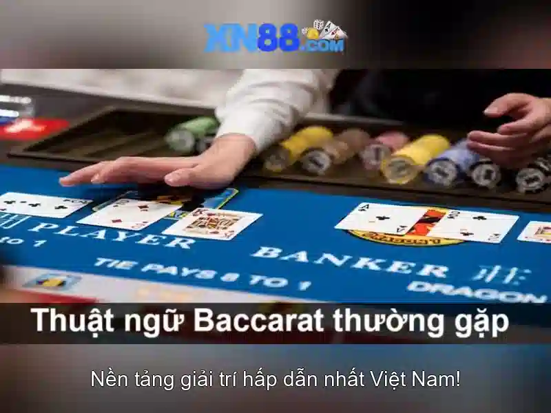 Giới thiệu về xn88\n