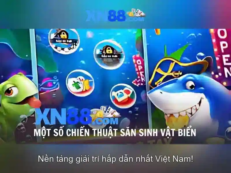 Giới thiệu về xn88