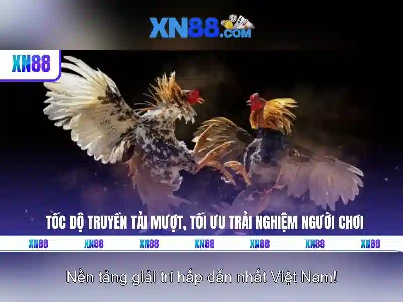 Cách tham gia và trải nghiệm