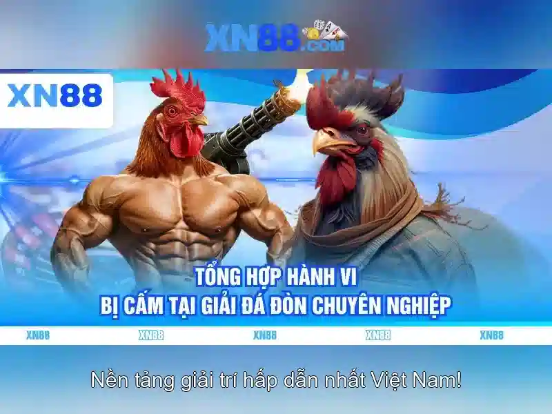 xn88: Nền tảng trực tuyến giải trí và cá cược