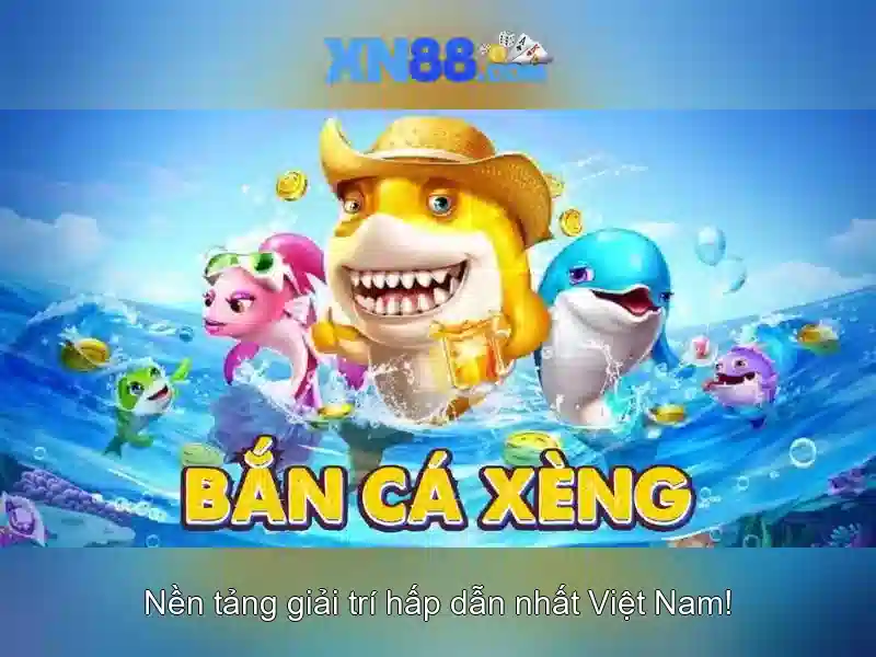 Kết luận và khuyến nghị
