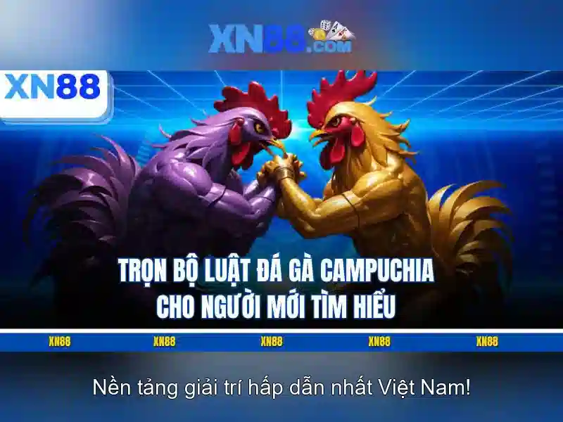 Lịch sử và nguồn gốc\n