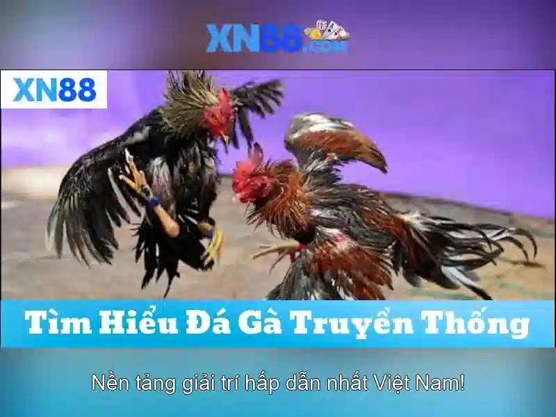 xn88: Nền tảng trò chơi trực tuyến và đánh bạc