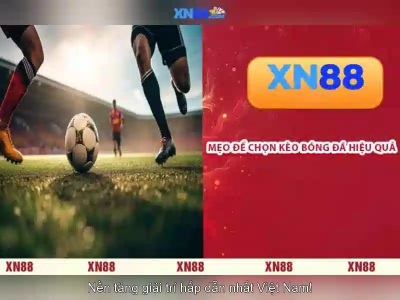 xn88 – Nền tảng giải trí trực tuyến đáng tin cậy