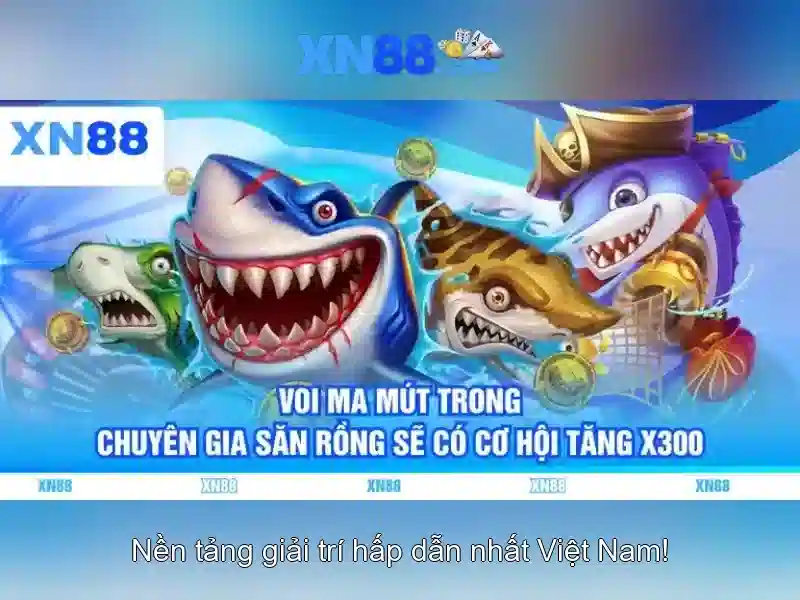 Lịch sử và sự phát triển
