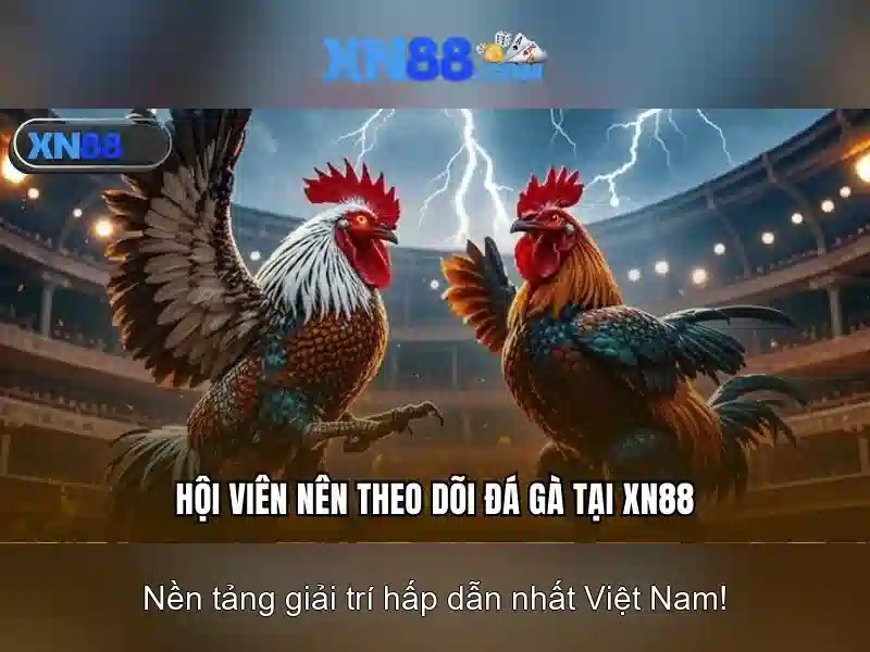 Cách tham gia và an toàn