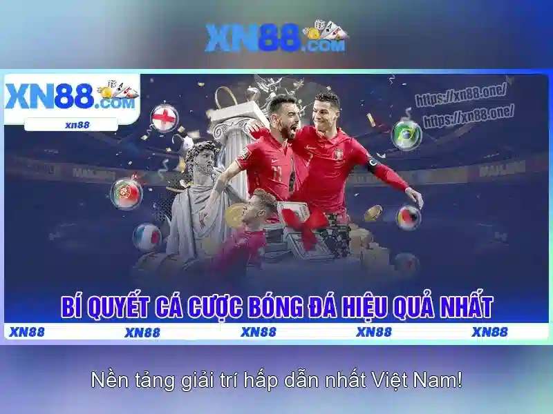 Nền tảng và các tính năng nổi bật