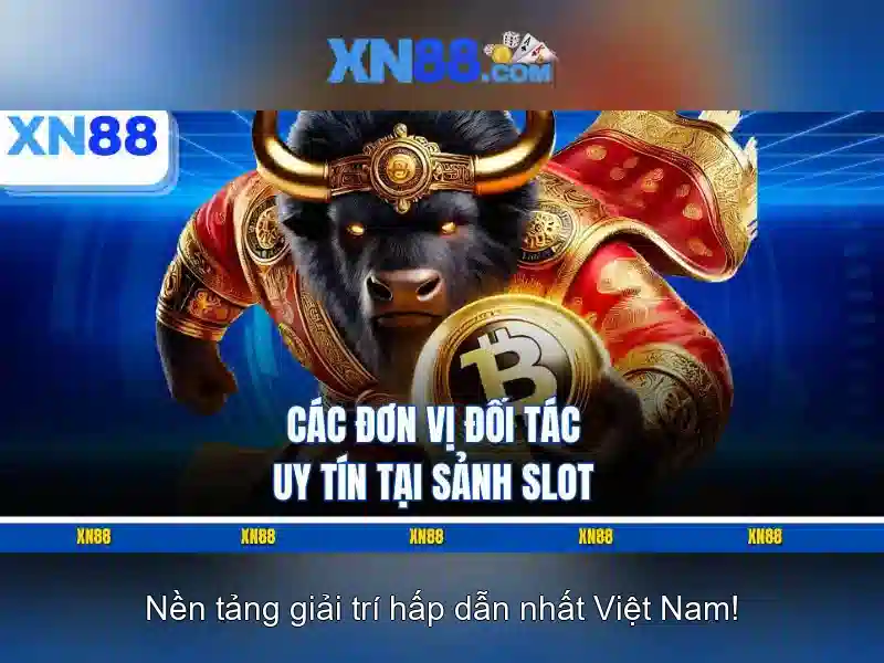 Các sản phẩm chính của Xn88