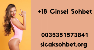+18 Cinsel Sohbet