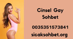 Cinsel Gay Sohbet